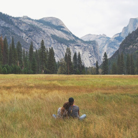 Yosemite Tour Groups - Fields