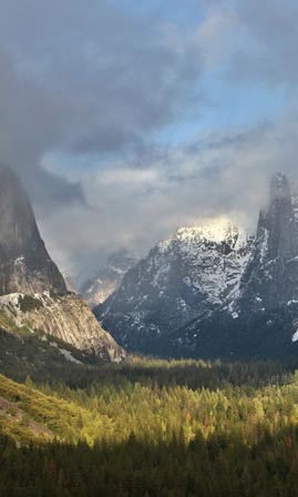 Yosemite National Park - view